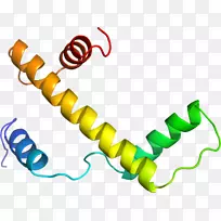 �ߵ������������-������