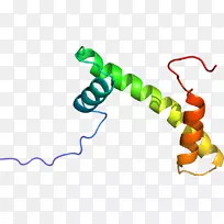 �ߵ������������-������