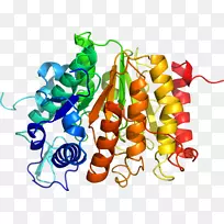 �߲��л��������-�߲�-������