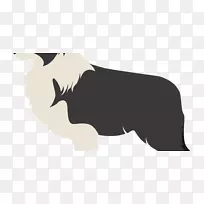 粗糙牧羊犬,边境牧羊犬,苏格兰牧羊犬,旧英国牧羊犬,澳大利亚牧羊犬-边境牧羊犬-空若网 粗糙牧羊犬,边境牧羊犬,苏格兰牧羊犬,旧英国牧羊犬,澳大利亚牧羊犬-边境牧羊犬-空若网