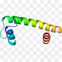 食品首饰剪贴画.珠宝-空若网 食品首饰剪贴画.珠宝-空若网