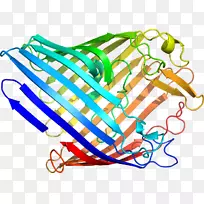 �ߵ������������-������