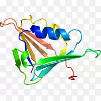 昆虫艺术图形设计传粉器剪贴画昆虫-空若网 昆虫艺术图形设计传粉器剪贴画昆虫-空若网