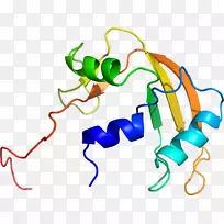 线点生物剪贴画线-空若网 线点生物剪贴画线-空若网