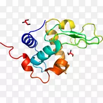 �ߵ������������-������