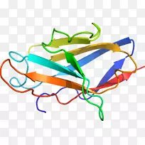 线点剪贴画-线-空若网 线点剪贴画-线-空若网