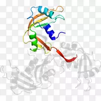 �ߵ������������-������