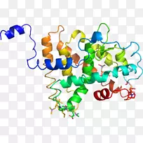 线点生物剪贴画线-空若网 线点生物剪贴画线-空若网