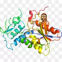线点剪贴画-线-空若网 线点剪贴画-线-空若网