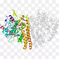 食物剪贴画-谢瓦尼拉-空若网 食物剪贴画-谢瓦尼拉-空若网