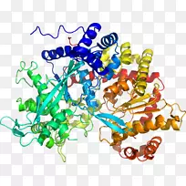 人体珠宝系列剪贴画.珠宝-空若网 人体珠宝系列剪贴画.珠宝-空若网