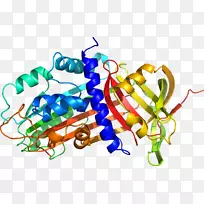 �߲��л���ϵ�м�����-�߲�-������