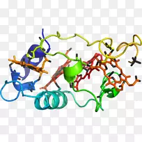 �����߶����������-������