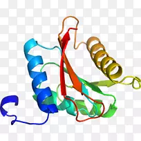 人体珠宝系列有机体剪贴画-珠宝-空若网 人体珠宝系列有机体剪贴画-珠宝-空若网