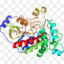 昆虫艺术身体珠宝剪贴画昆虫-空若网 昆虫艺术身体珠宝剪贴画昆虫-空若网