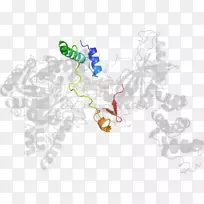 动物剪贴画设计-空若网 动物剪贴画设计-空若网