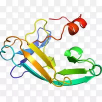 人体珠宝剪贴画.珠宝-空若网 人体珠宝剪贴画.珠宝-空若网