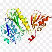 蔬菜有机体系列剪贴画-蔬菜-空若网 蔬菜有机体系列剪贴画-蔬菜-空若网