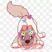 犬科犬鼻子夹艺术-空若网 犬科犬鼻子夹艺术-空若网