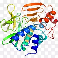 线点生物剪贴画线-空若网 线点生物剪贴画线-空若网