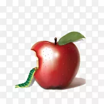 苹果在咬奥格里斯咬苹果-空若网 苹果在咬奥格里斯咬苹果-空若网