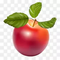 ƻ�����ؼ�����-��ƻ��-������