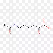 ֱ�ߵ����-������