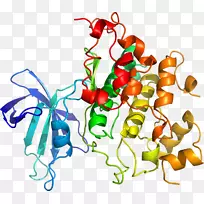 �߲��л���ϵ�м�����-�߲�-������