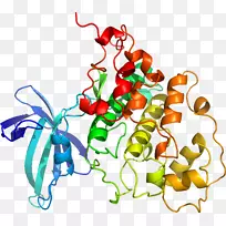 无脊椎动物系列动物剪贴画-蔬菜-空若网 无脊椎动物系列动物剪贴画-蔬菜-空若网