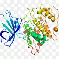 植物茎体珠宝无脊椎动物剪贴画珠宝首饰-空若网 植物茎体珠宝无脊椎动物剪贴画珠宝首饰-空若网