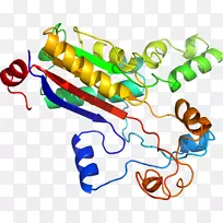 线点生物剪贴画线-空若网 线点生物剪贴画线-空若网