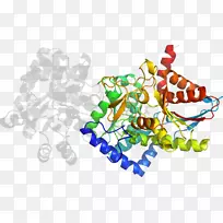 ʥ��װ��Ʒ������-ʥ����-������