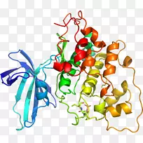 �߲�GSK-3��ԭ�ϳ�ø��øƬ��-�߲�-������