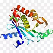 �����߶����������-������