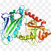 植物茎体珠宝系列剪贴画珠宝首饰-空若网 植物茎体珠宝系列剪贴画珠宝首饰-空若网