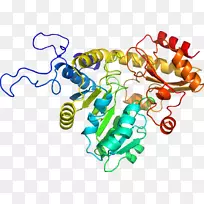 线点生物剪贴画线-空若网 线点生物剪贴画线-空若网