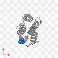 耳环艺术珠宝首饰-空若网 耳环艺术珠宝首饰-空若网