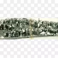 ����˹��ʥ��������˹�������m nchengladbach 8��31��tetelrath-nan-������