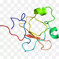 线点生物剪贴画线-空若网 线点生物剪贴画线-空若网