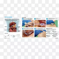 鼻生物-鼻子-空若网 鼻生物-鼻子-空若网