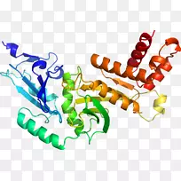 生物线动物剪贴画线-空若网 生物线动物剪贴画线-空若网