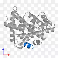 车身珠宝字体-珠宝-空若网 车身珠宝字体-珠宝-空若网