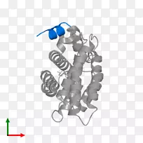 车身珠宝字体-珠宝-空若网 车身珠宝字体-珠宝-空若网