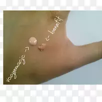 ��ָ��д����-UNB-������