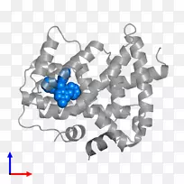 珠宝首饰-空若网 珠宝首饰-空若网