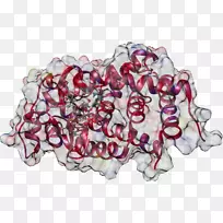 食物下巴-空若网 食物下巴-空若网