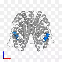 珠宝首饰-空若网 珠宝首饰-空若网