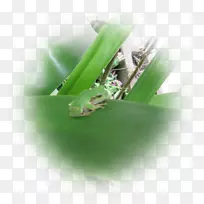 ���ˮ����д-������