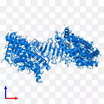 线点体珠宝字体线-空若网 线点体珠宝字体线-空若网
