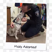 Ȯ�ֱ�Ȯ-������